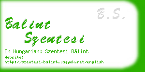 balint szentesi business card