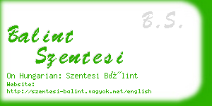 balint szentesi business card